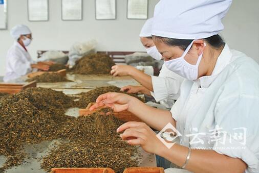 2020年临沧市gdp_临沧市图片(3)