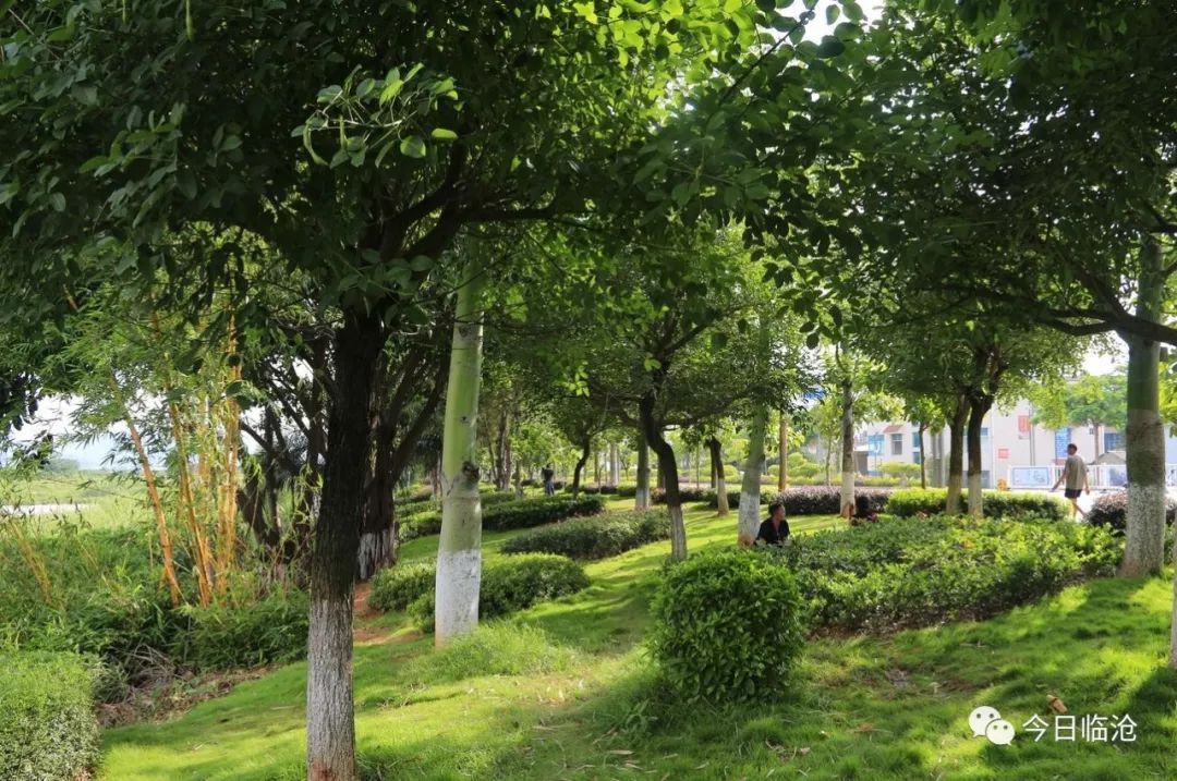 双江镇GDP_云阳老双江镇图片