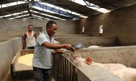 云南沧源:党员先锋模范引领群众创业增收致富