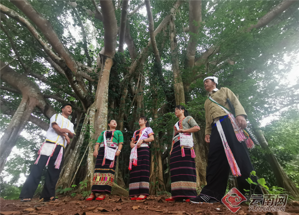 云南耿马大湾塘村：共生共荣点“绿”成“金”