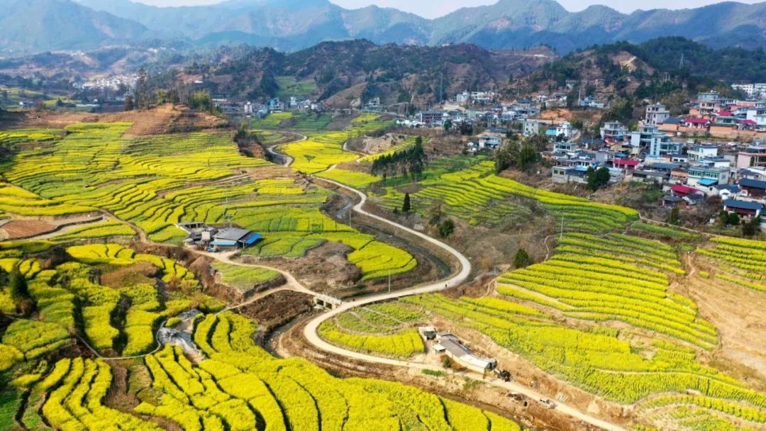 云南临沧：注入绿色发展新效能