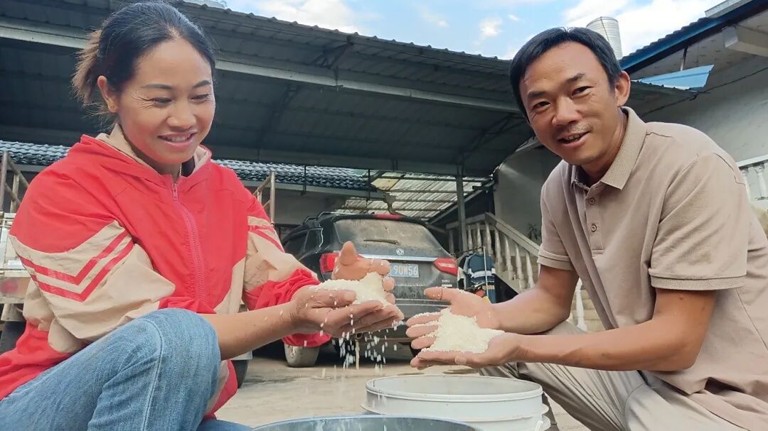 农人手捧新米很是开心 拍摄日期:2025年10月15日.jpg