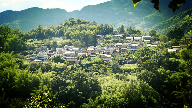 永德垭口村:稳基础兴产业 为乡村振兴蓄势赋能_要闻_临沧频道_云南网
