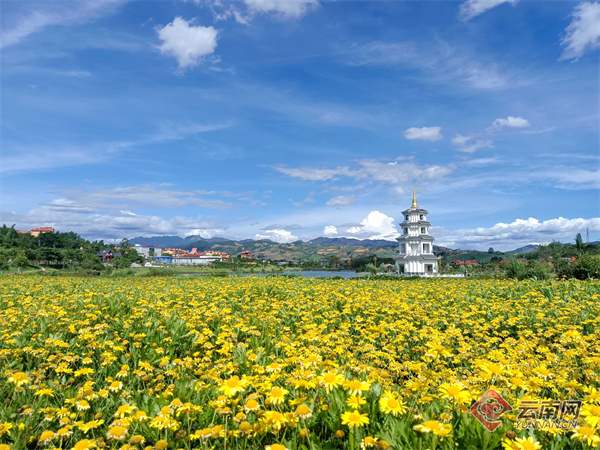 临沧耿马书写绿美画卷筑就幸福之城